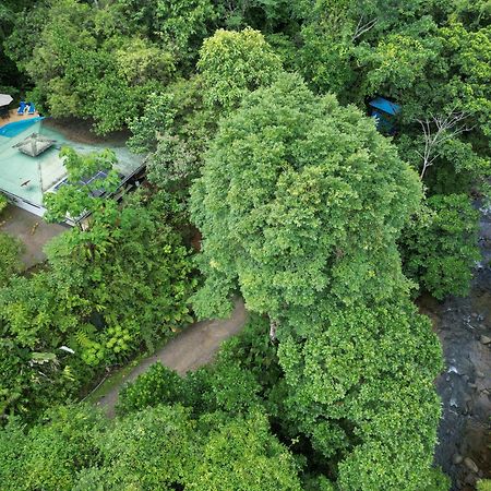 Casa Cedro - Portasol Vacation Rentals Matapalo  Eksteriør billede