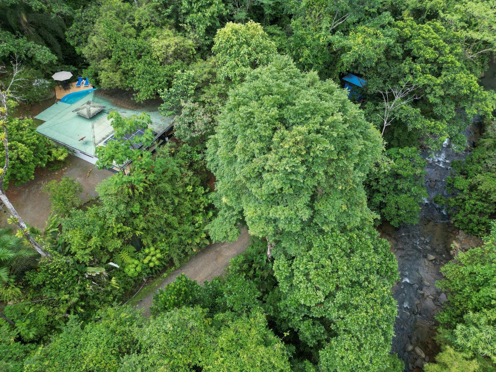 Casa Cedro - Portasol Vacation Rentals Matapalo  Eksteriør billede